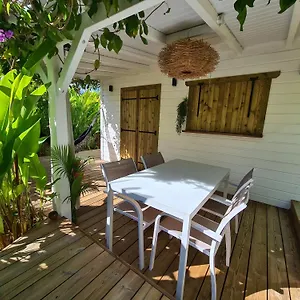 Coco Sainte-Anne (Grande-Terre)